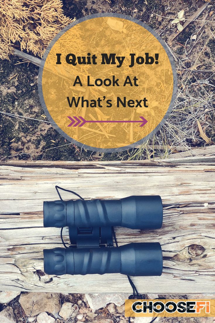 I Quit My Job A Look At What's Next