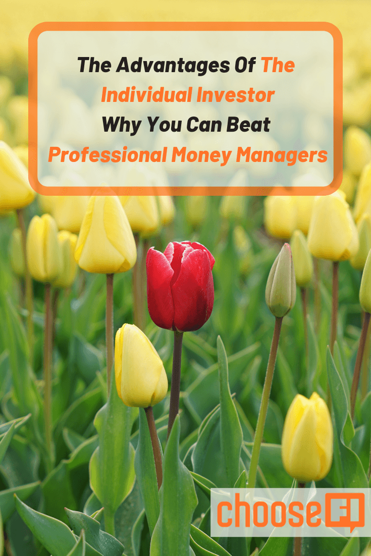 The Advantages Of The Individual Investor: Why You Can Beat Professional Money Managers