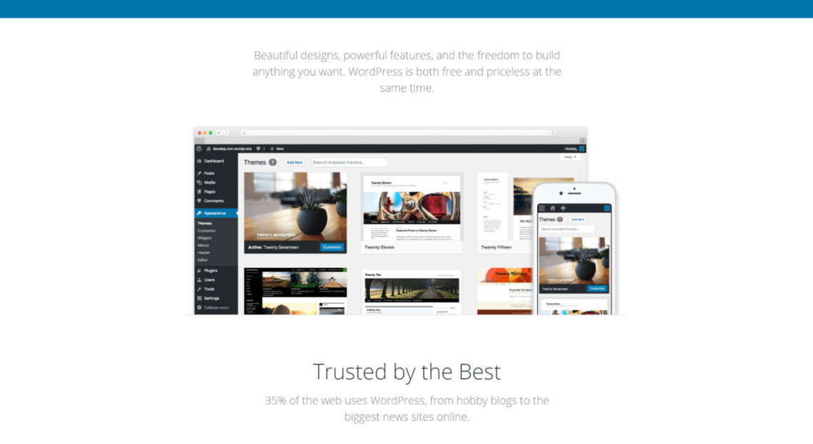 Wordpress marketing blurb