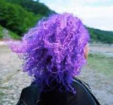A Purple Life