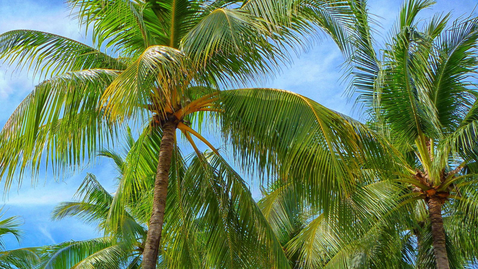 FI Community in Palm Beach