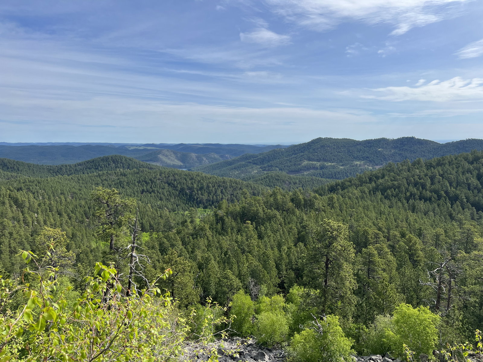 FI Community in Rapid City