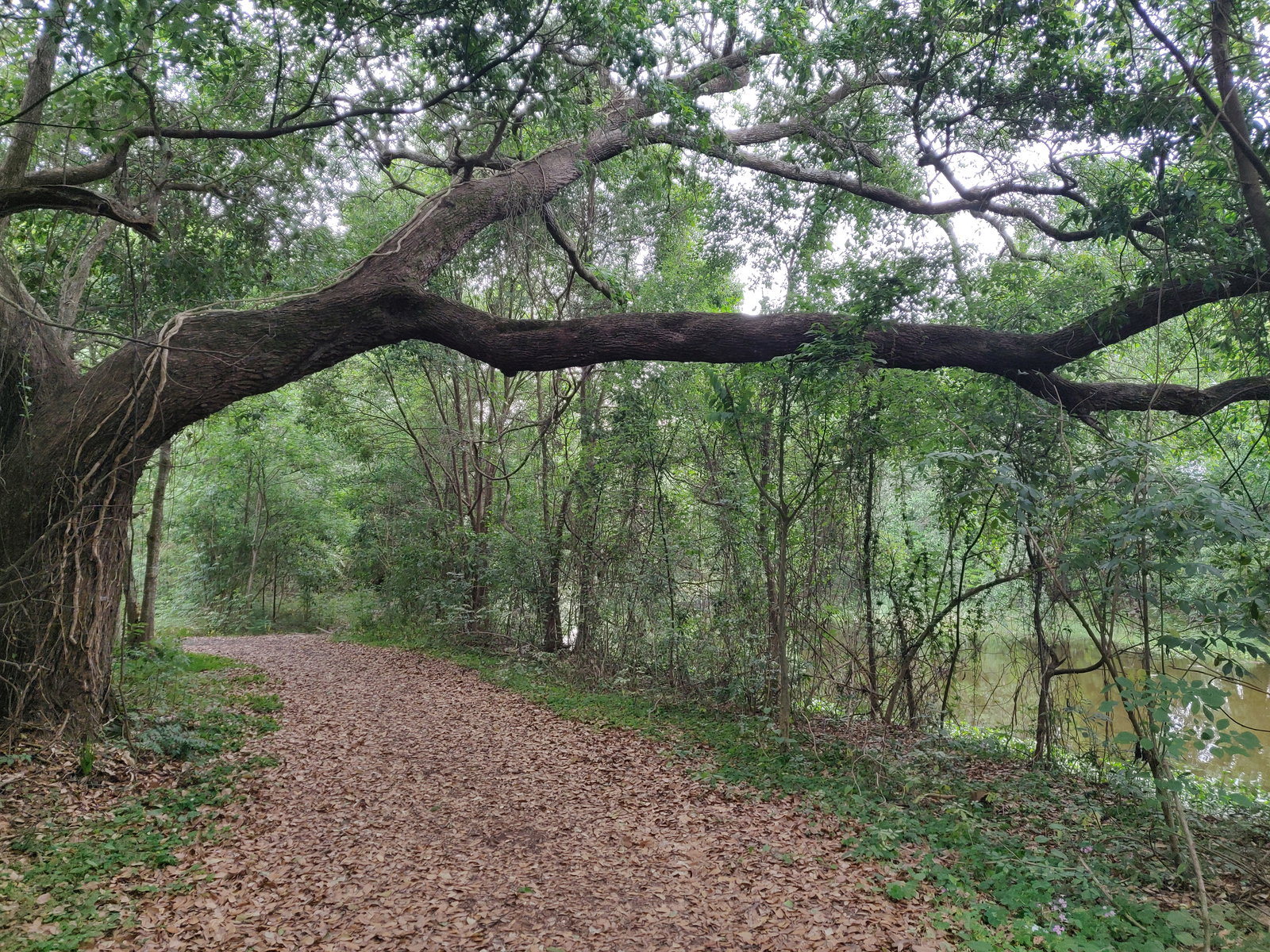 FI Community in New Orleans