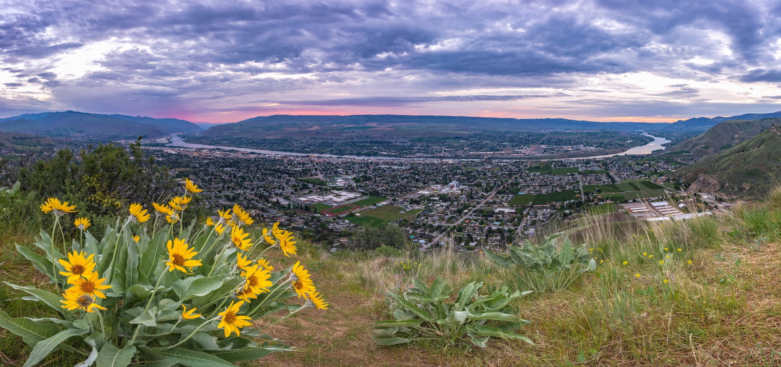 Wenatchee NCW