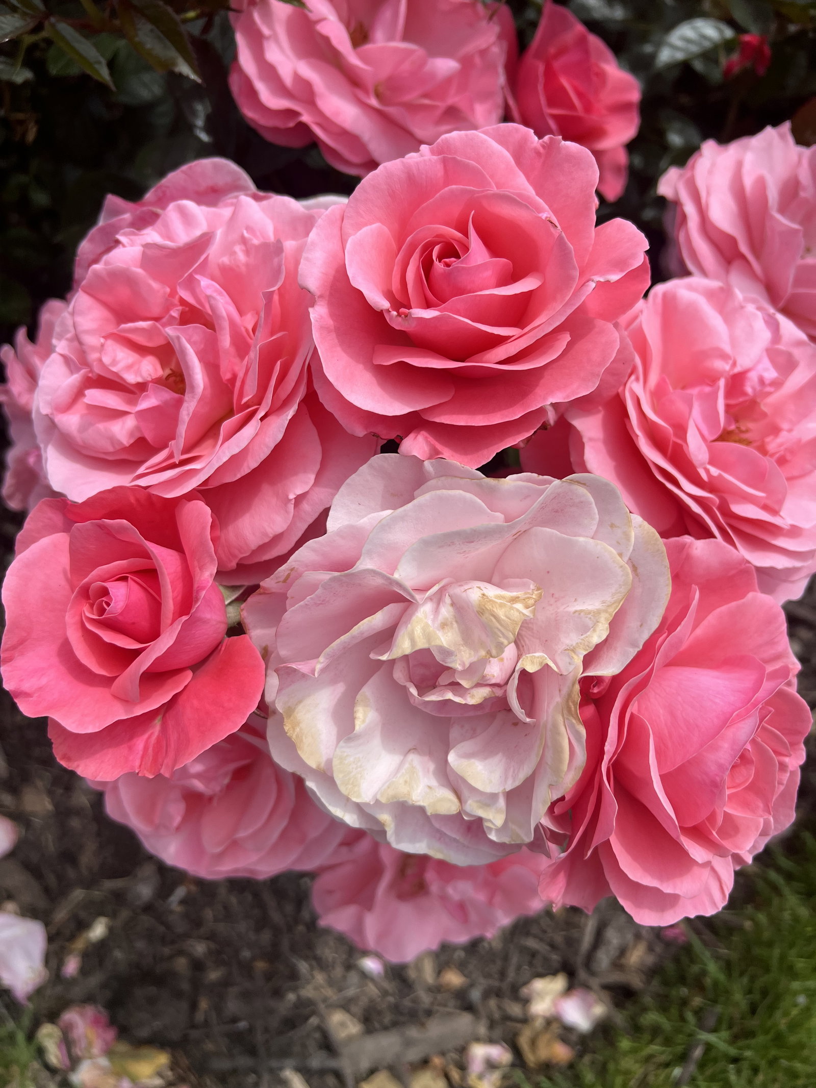 Share your best money saving tips over coffee